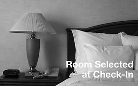 Starlight Bed And Breakfast